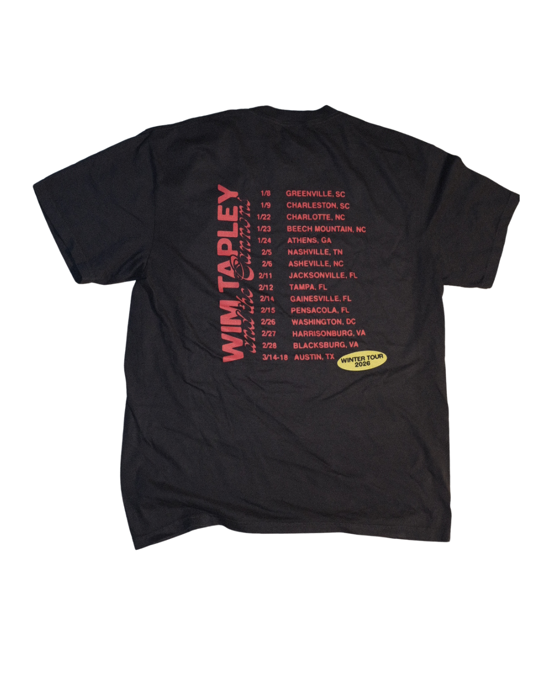 Gray Winter Tour Tees