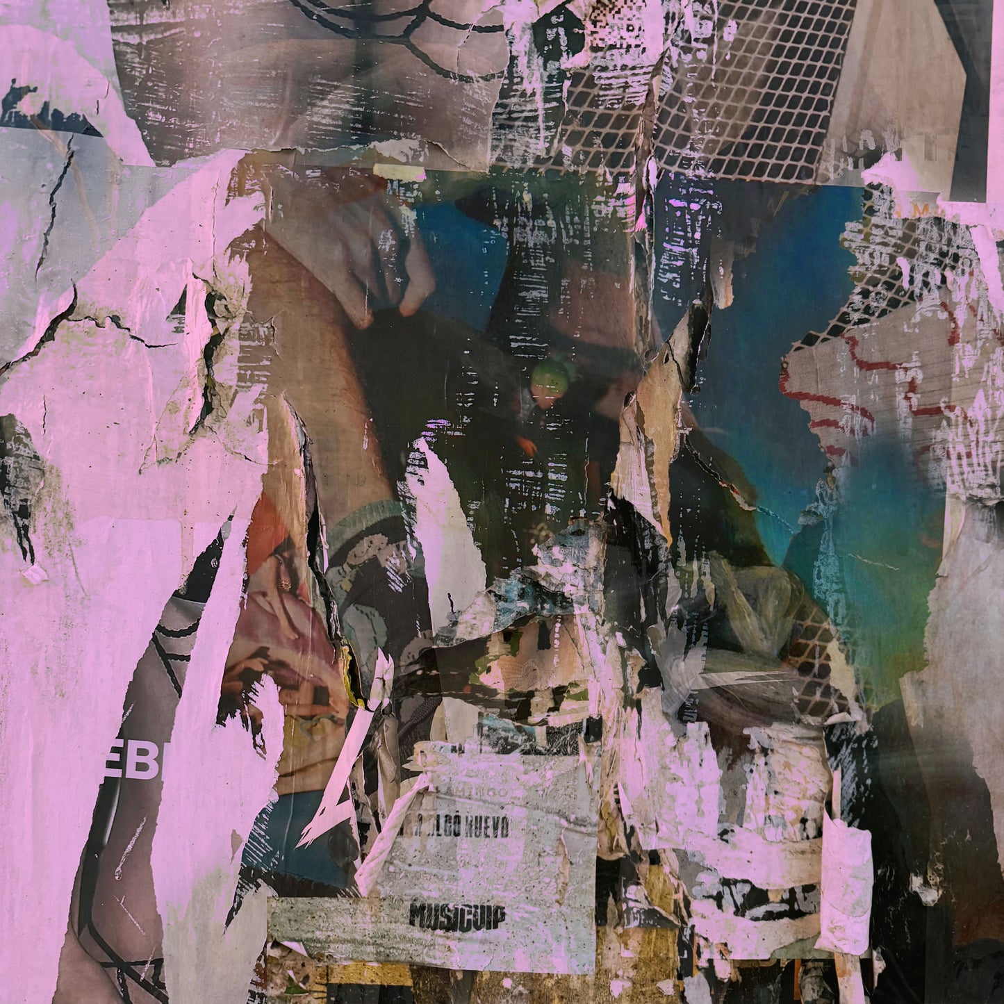 Cereus Bright | Anything