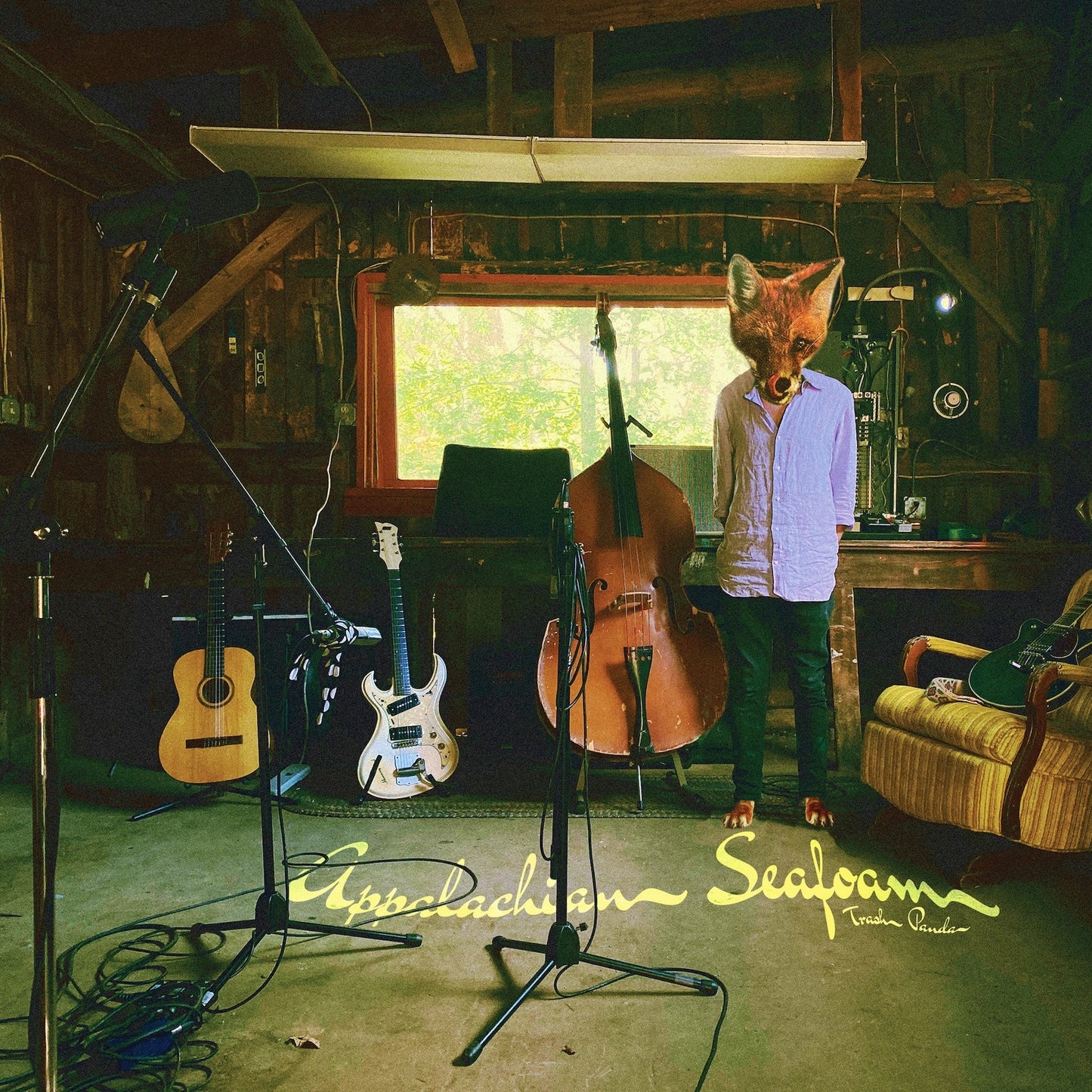 Trash Panda / Lazuli Vane