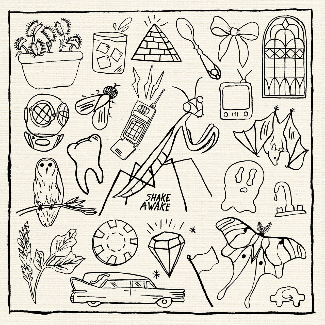 Shake Awake's Ghost of the Mantis Front Album Cover