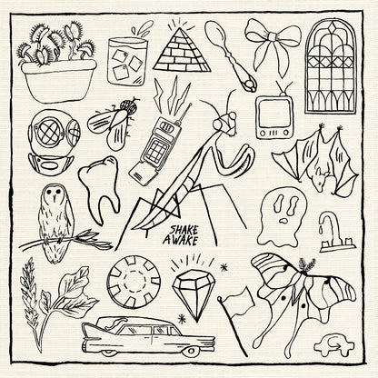 Shake Awake's Ghost of the Mantis Front Album Cover