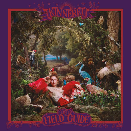 Kinneret | Field Guide