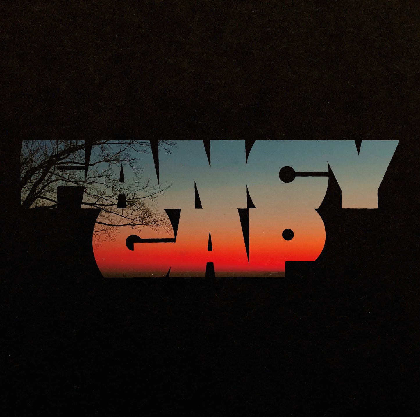 Fancy Gap